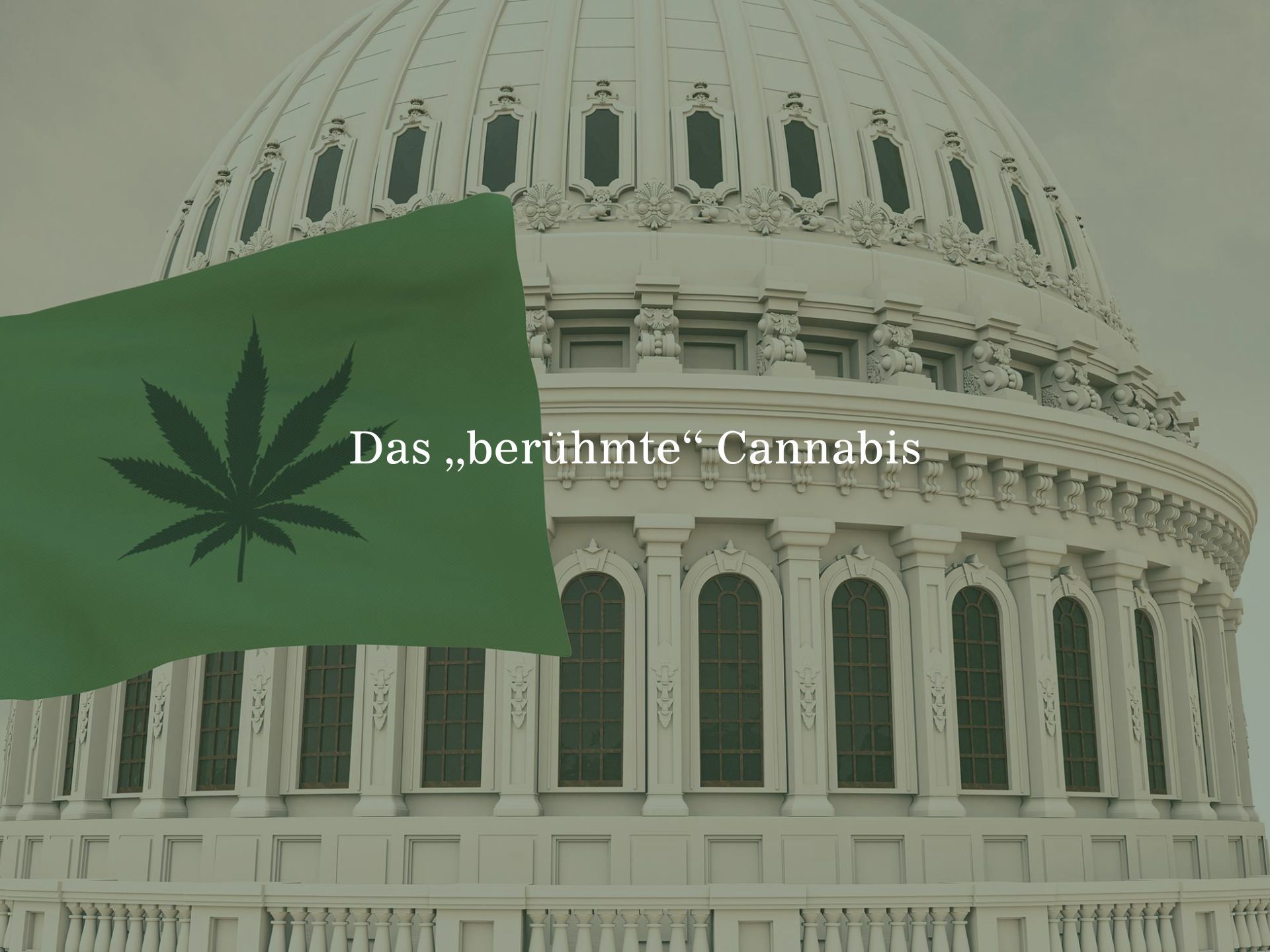 Das „berühmte“ Cannabis