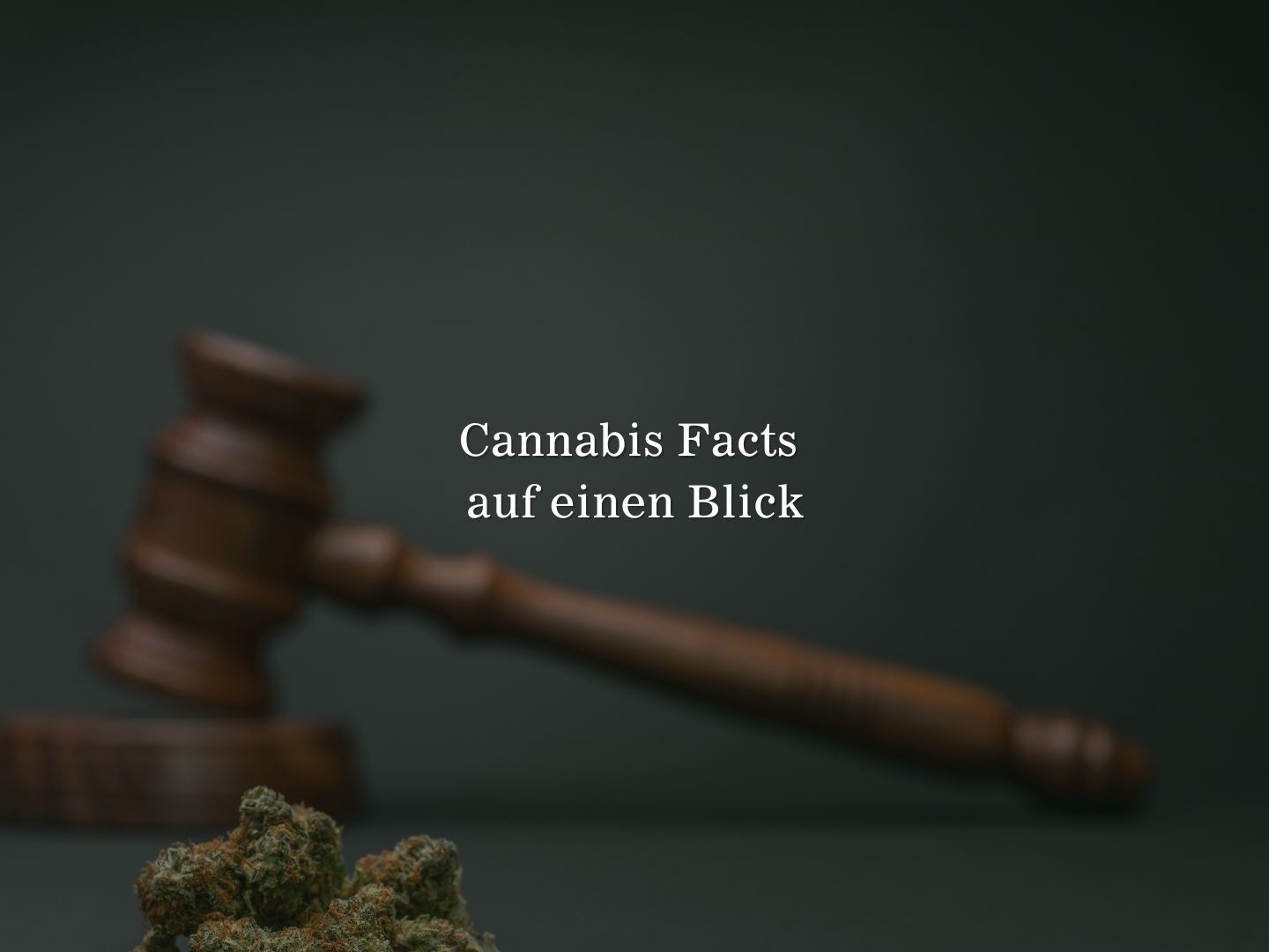Cannabis Facts - Das solltest du wissen