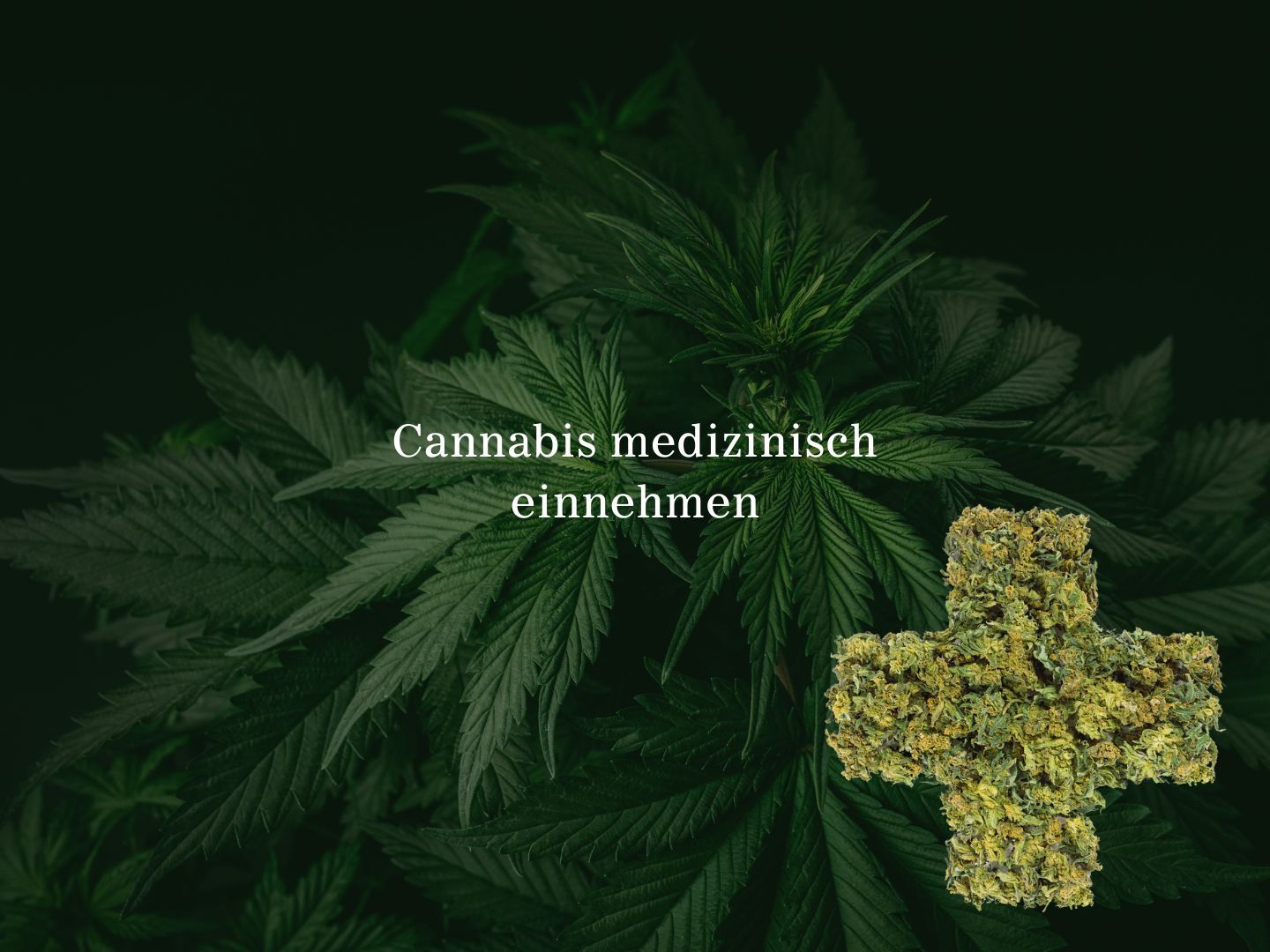 Cannabis medizinisch einnehmen