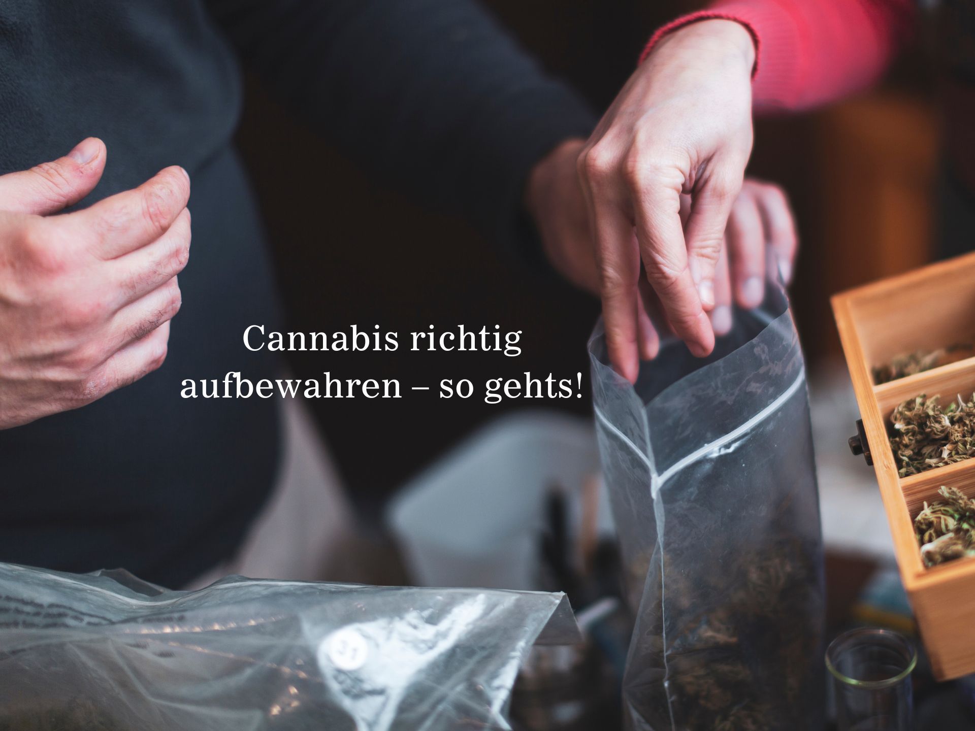 Cannabis langfristig aufbewahren – so geht’s!