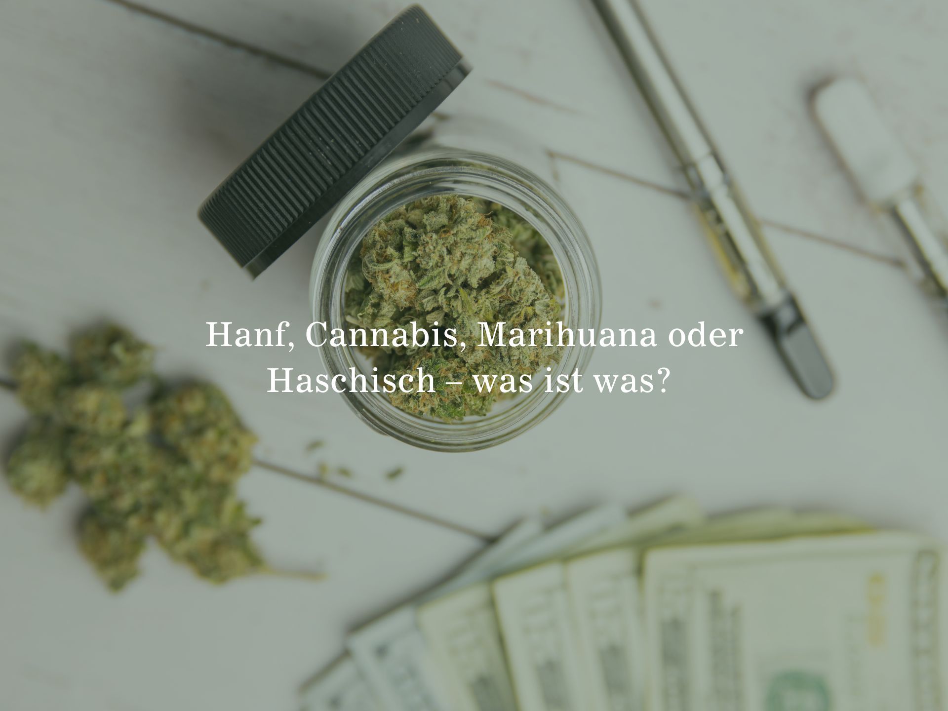 Hanf, Cannabis, Marihuana oder Haschisch – alles gleich?