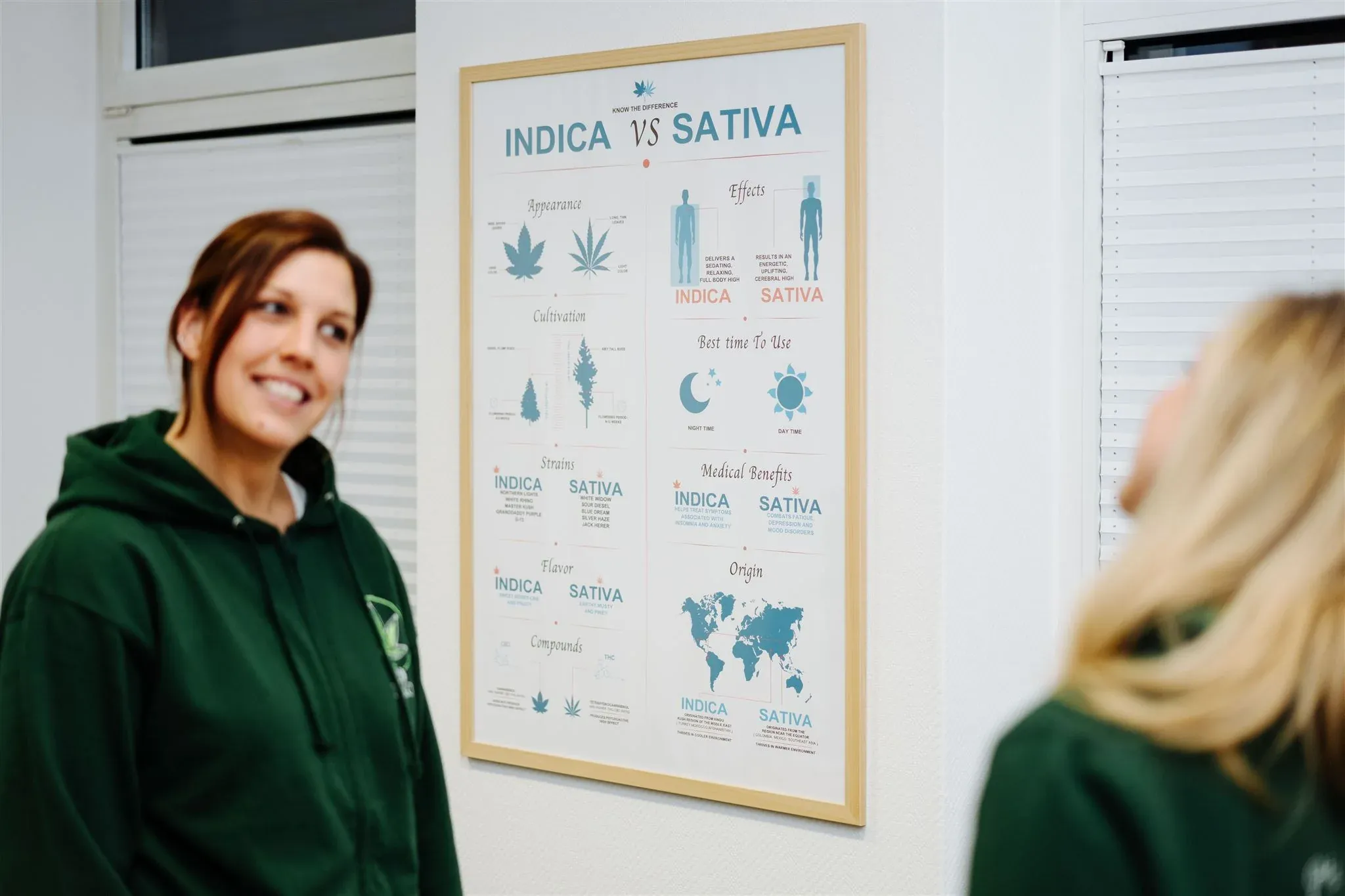 Sativa vs. Indica - Wo liegen die Unterschiede?