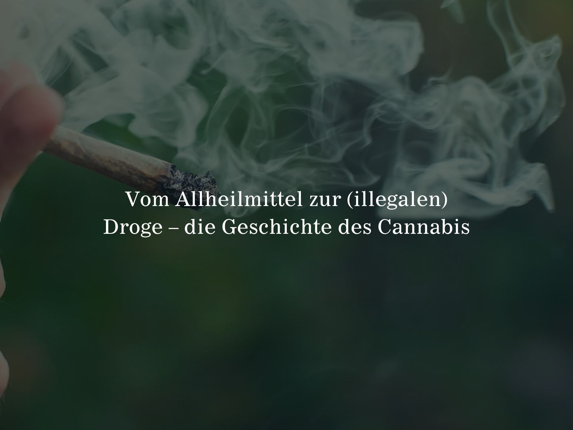 Vom Allheilmittel zur (illegalen) Droge – die Geschichte des Cannabis